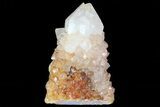 Sunshine Cactus Quartz Crystal - South Africa #80185-2